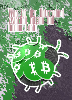 Bitcoin bitcoin cash